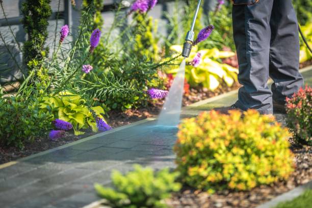 Best Post-Construction Pressure Washing  in Gonzales, LA